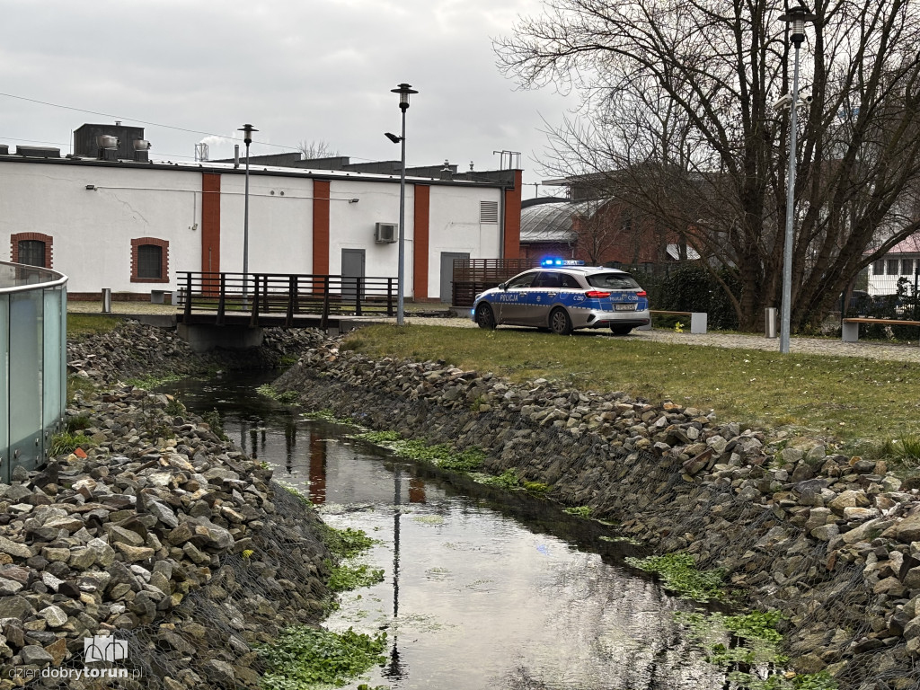 Dramatyczne odkrycie nad ciekiem wodnym