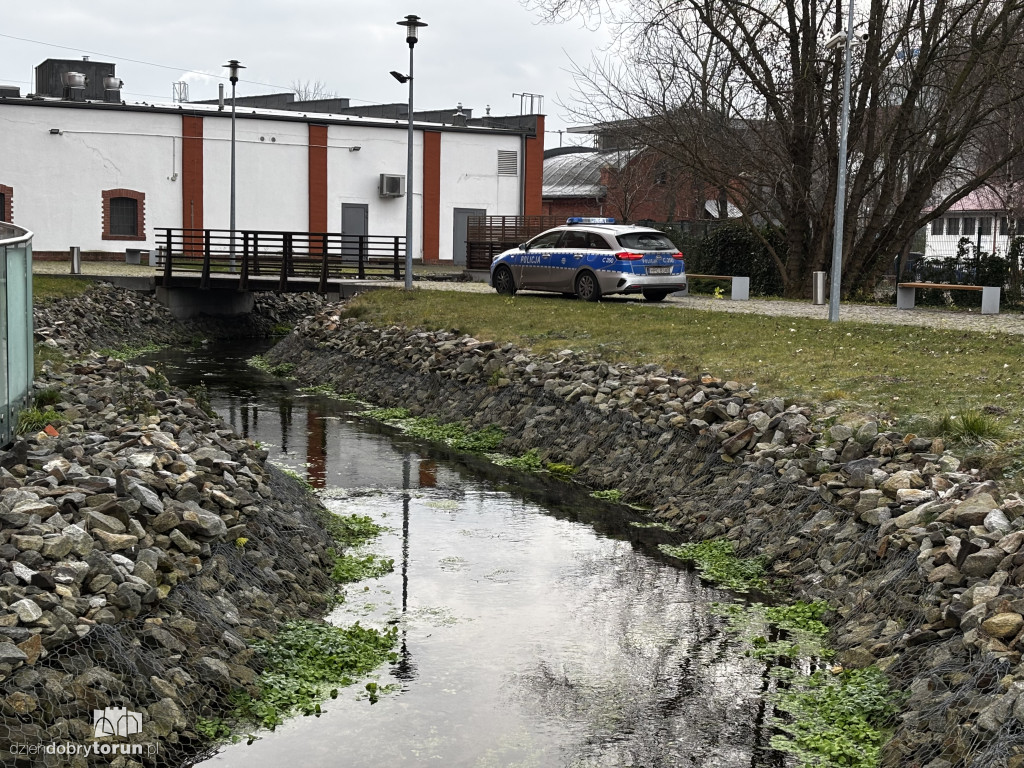 Dramatyczne odkrycie nad ciekiem wodnym