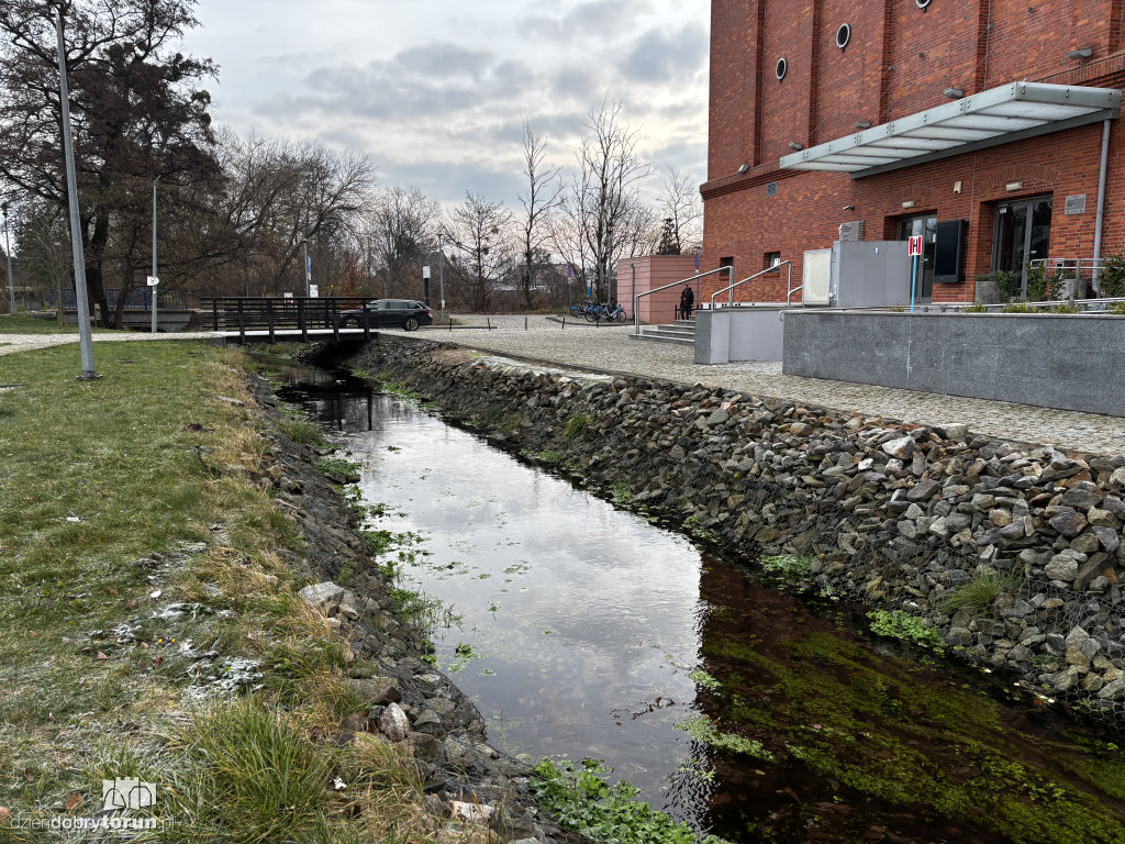 Dramatyczne odkrycie nad ciekiem wodnym