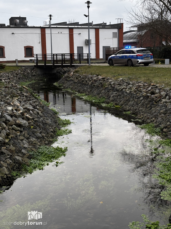 Dramatyczne odkrycie nad ciekiem wodnym