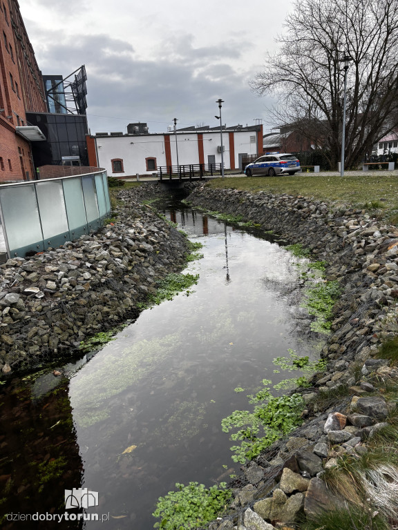 Dramatyczne odkrycie nad ciekiem wodnym