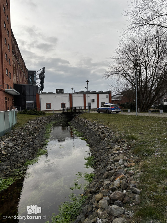 Dramatyczne odkrycie nad ciekiem wodnym