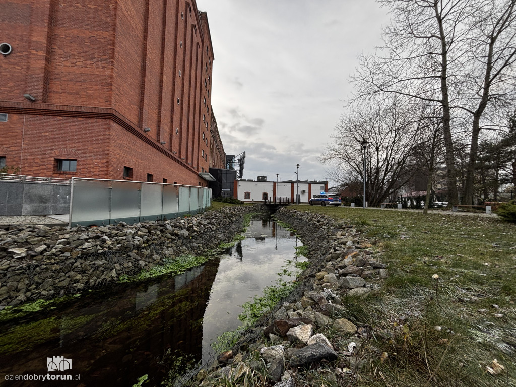 Dramatyczne odkrycie nad ciekiem wodnym