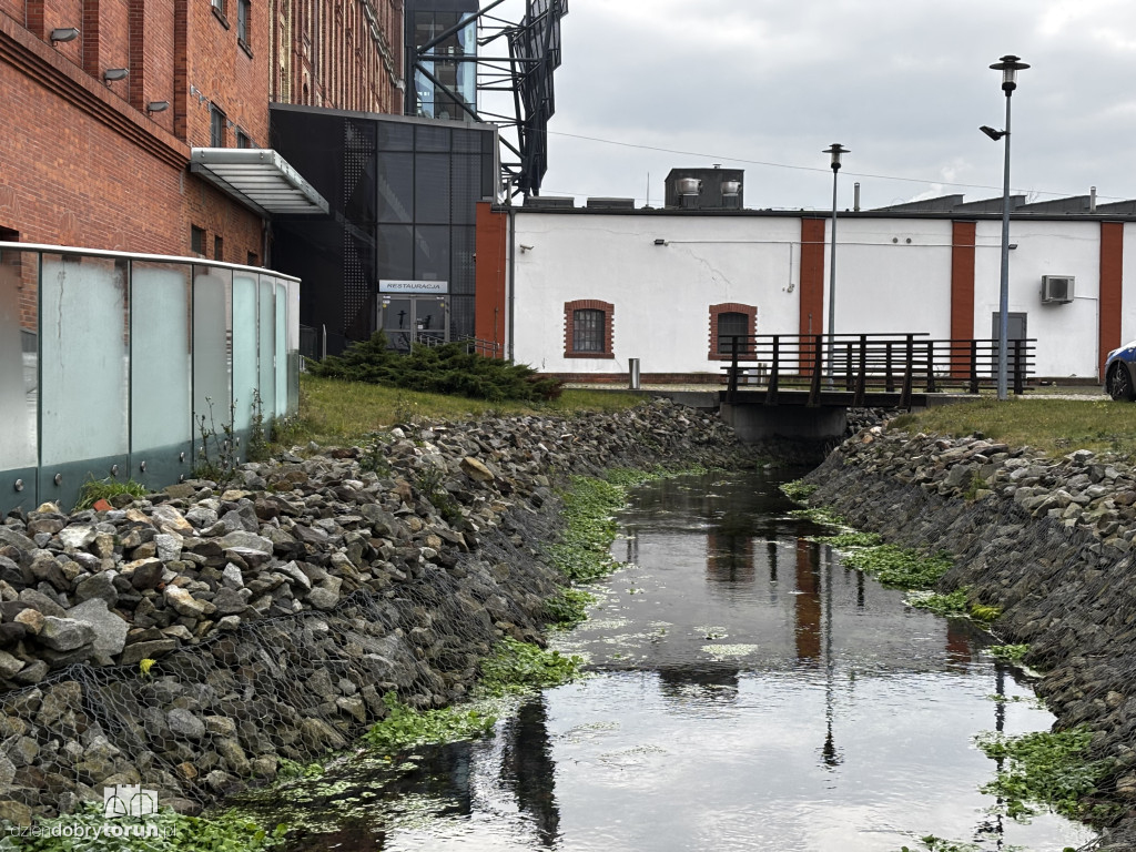 Dramatyczne odkrycie nad ciekiem wodnym