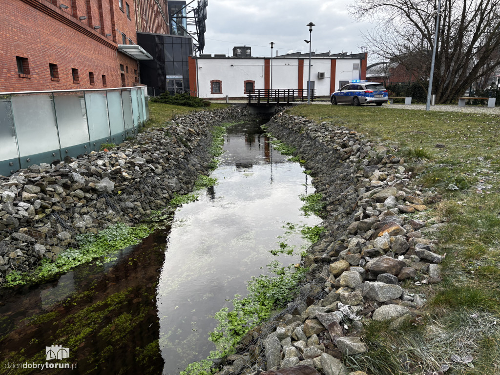 Dramatyczne odkrycie nad ciekiem wodnym