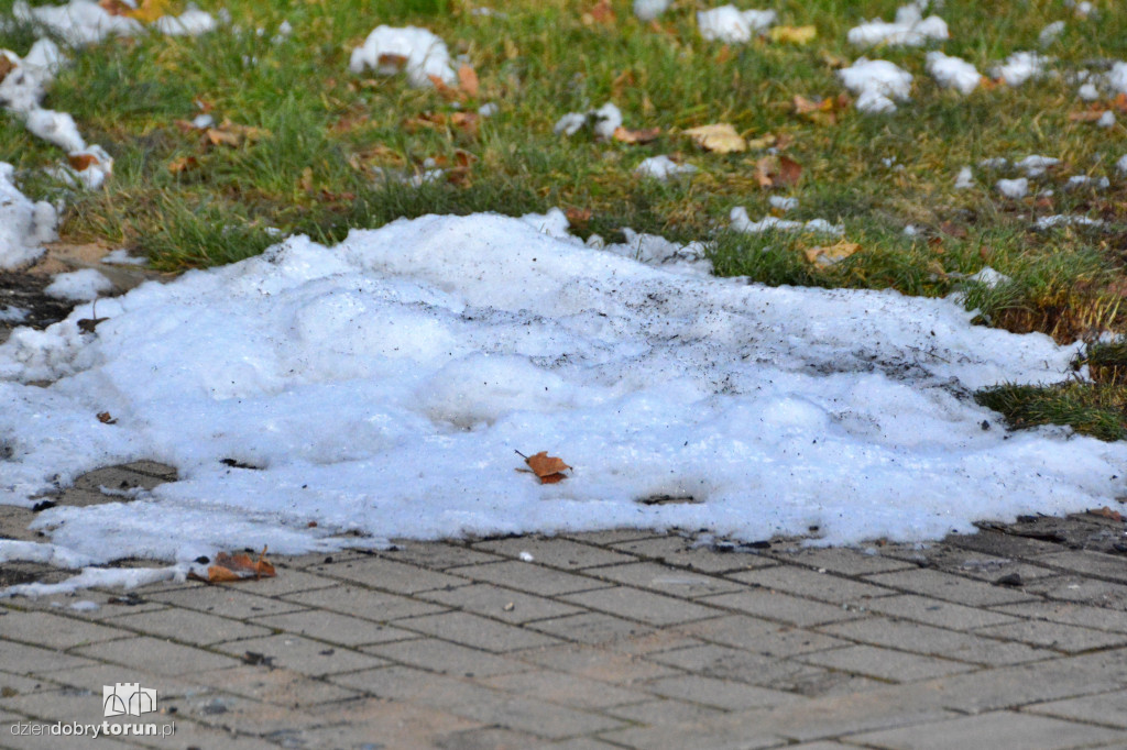 Pożar na ul. Chrobrego w Toruniu