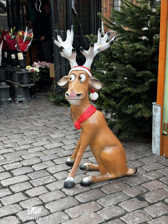 Już za chwilę jarmark ruszy pełną parą!