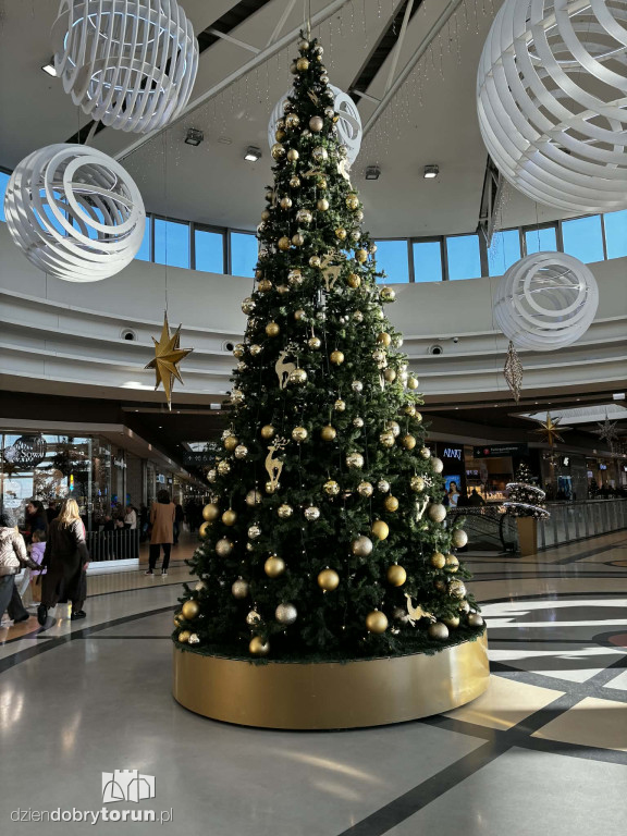 Świąteczne ozdoby w Copernicusie