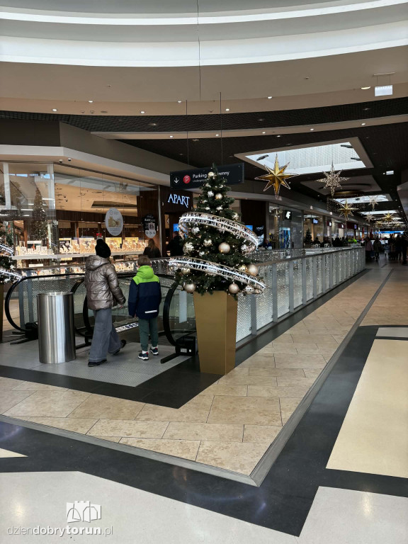 Świąteczne ozdoby w Copernicusie