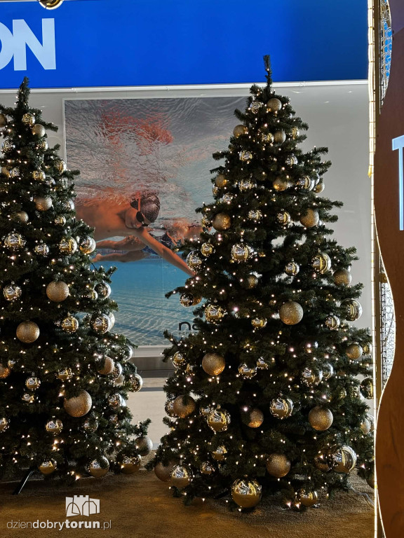 Świąteczne ozdoby w Copernicusie