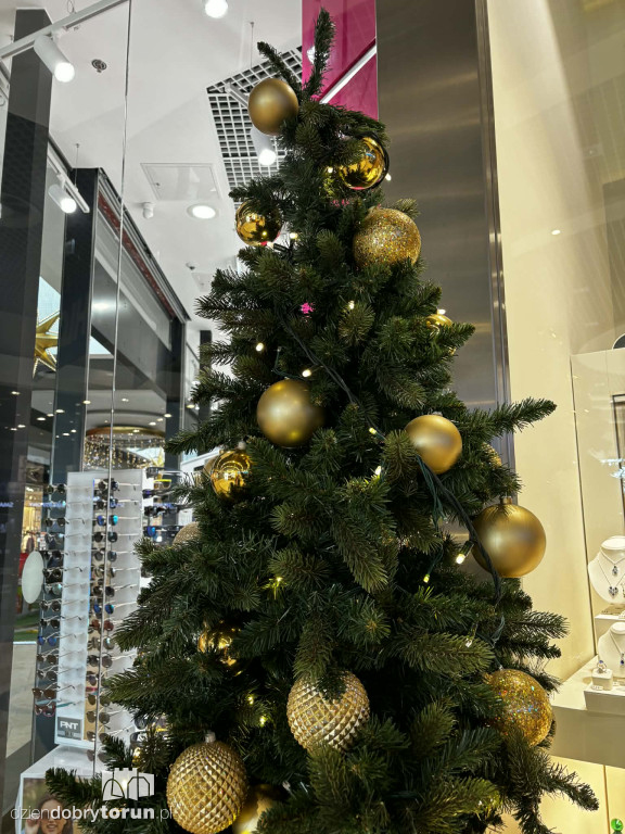 Świąteczne ozdoby w Copernicusie