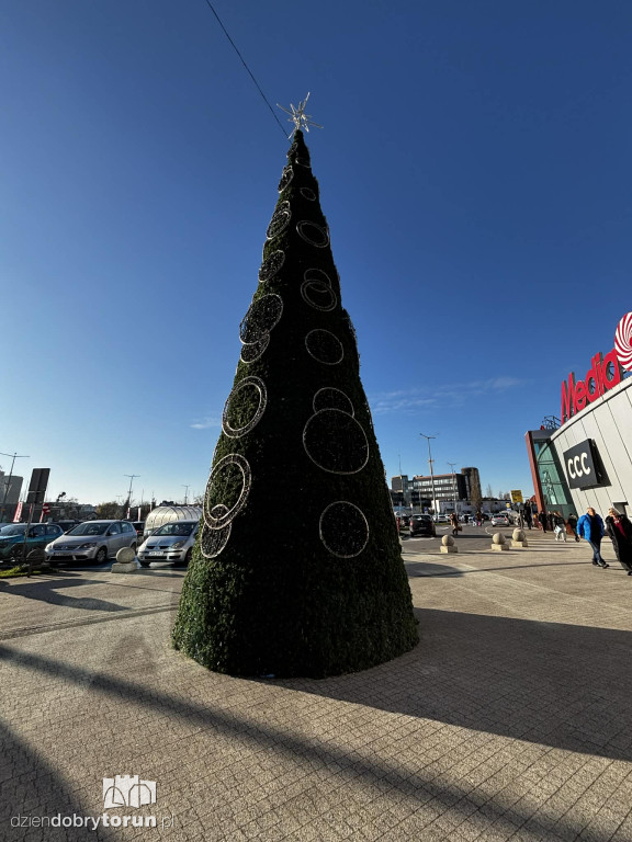 Świąteczne ozdoby w Copernicusie