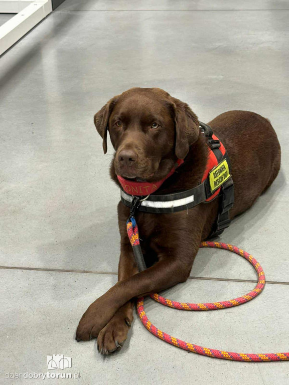 Drzwi otwarte w salonie Abler