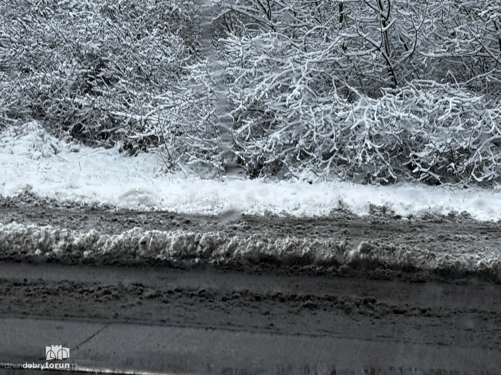 Śnieżyca sparaliżowała miasto!