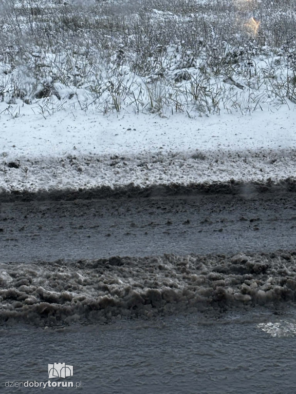 Śnieżyca sparaliżowała miasto!