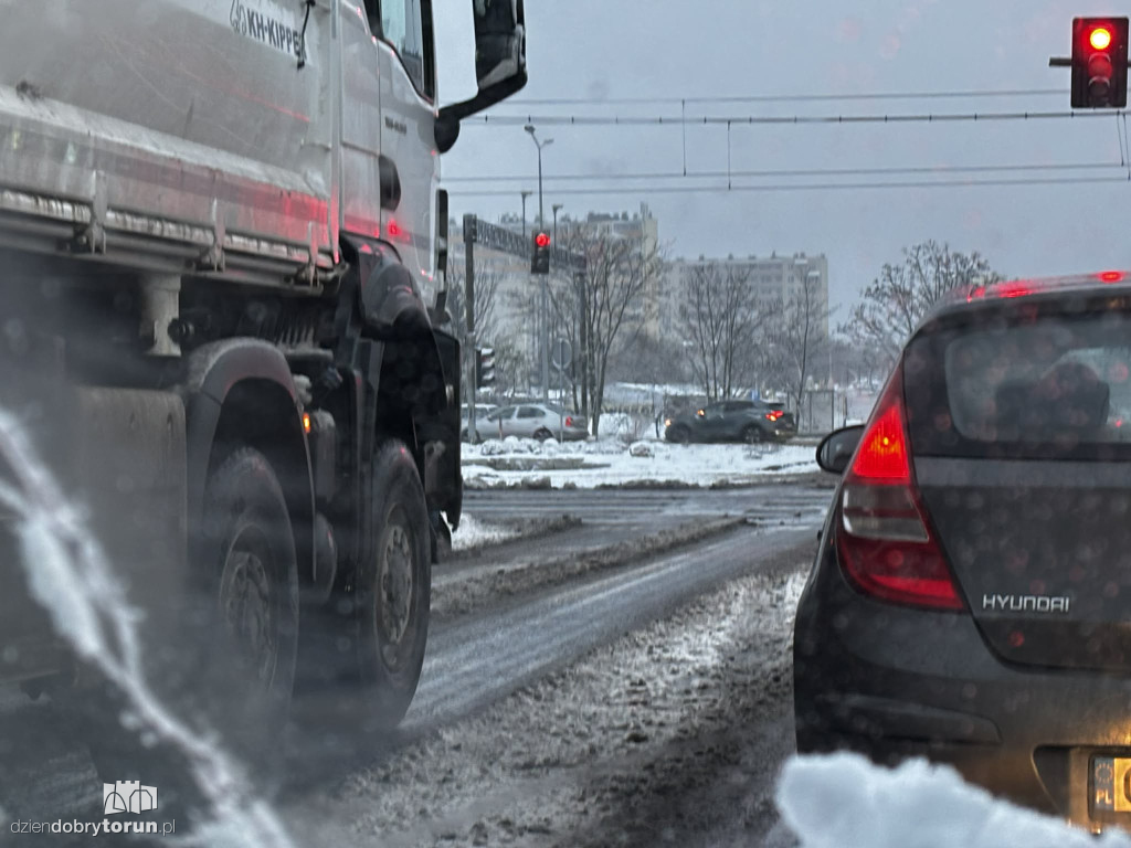 Śnieżyca sparaliżowała miasto!