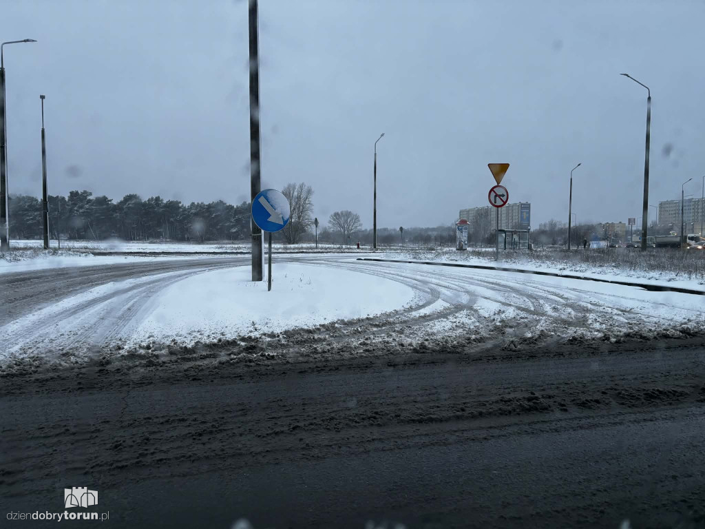 Śnieżyca sparaliżowała miasto!