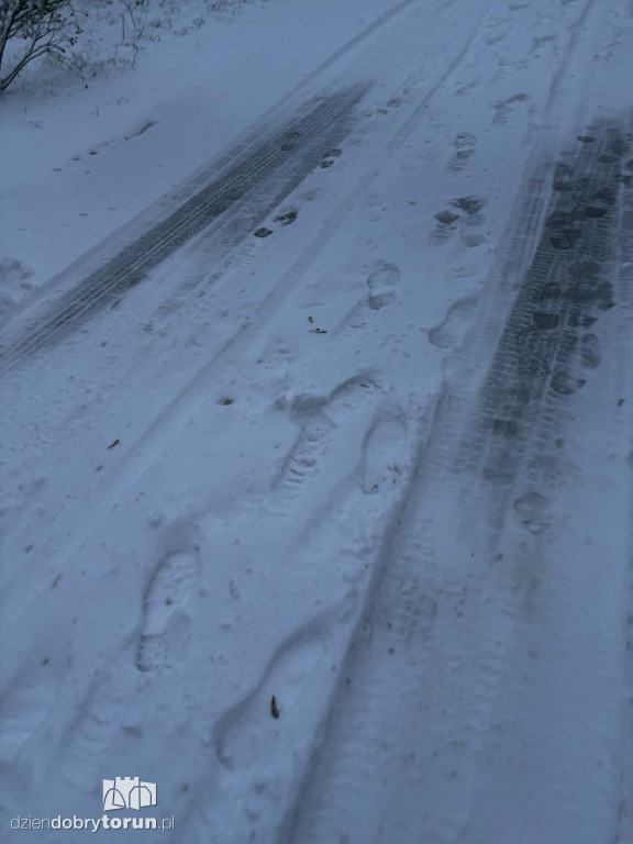 Śnieżyca sparaliżowała miasto!