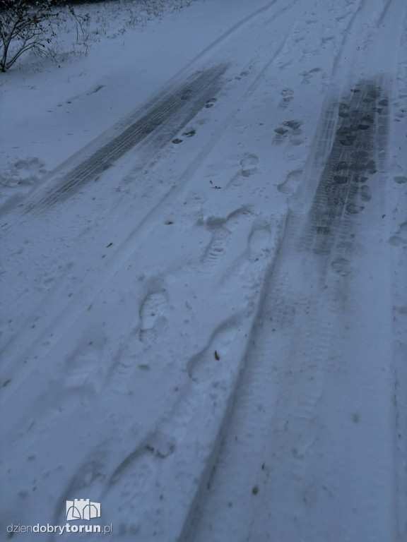 Śnieżyca sparaliżowała miasto!