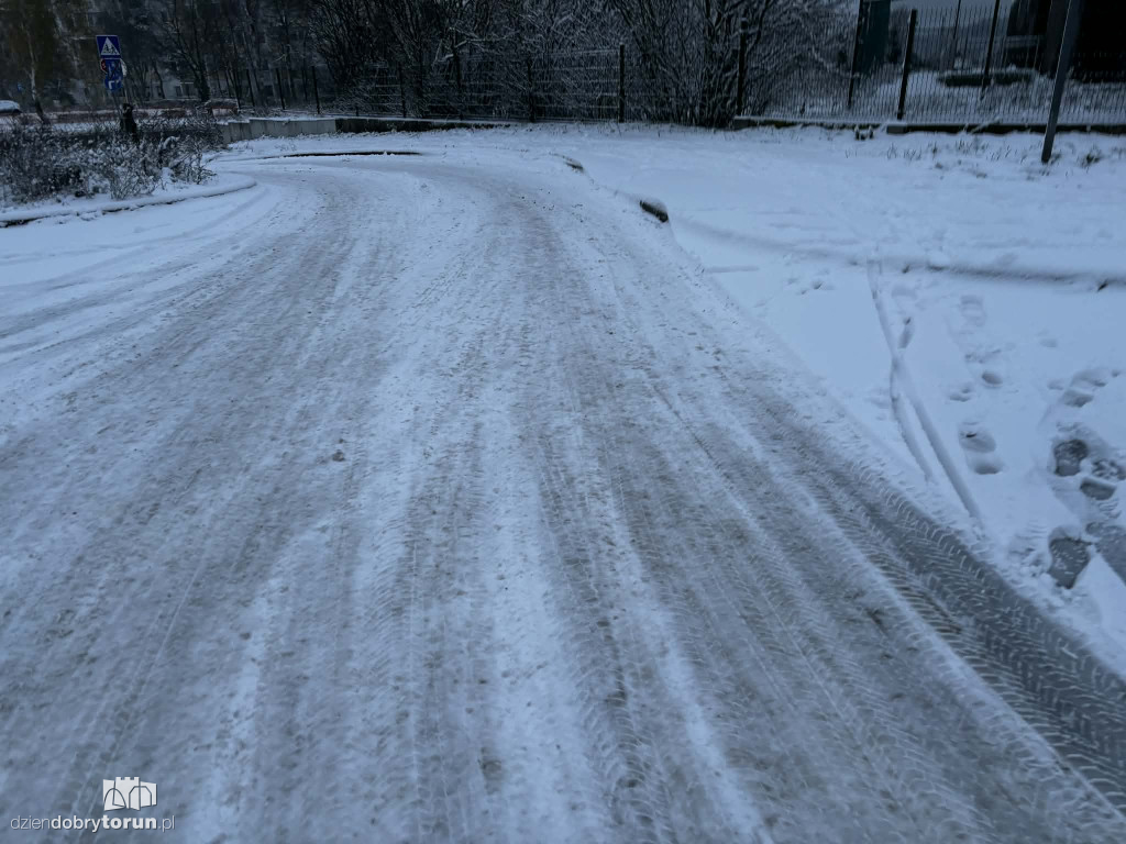 Śnieżyca sparaliżowała miasto!