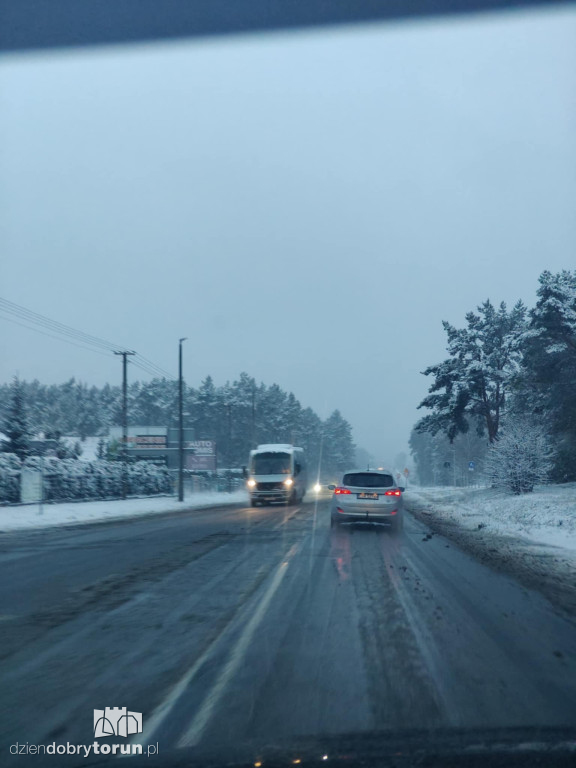 Śnieżyca sparaliżowała miasto!