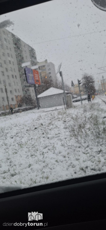 Śnieżyca sparaliżowała miasto!