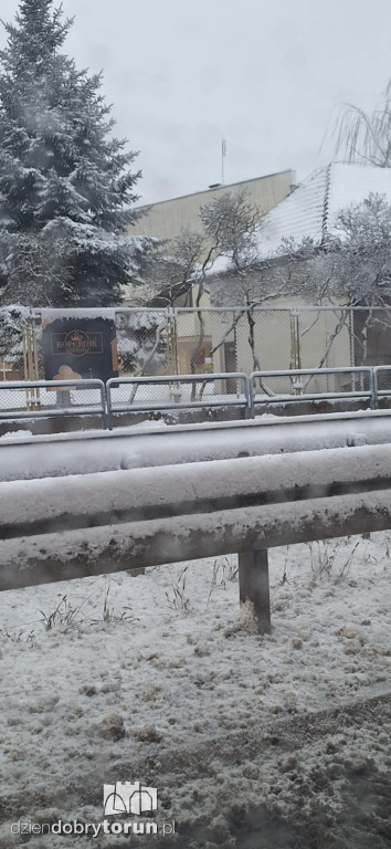 Śnieżyca sparaliżowała miasto!