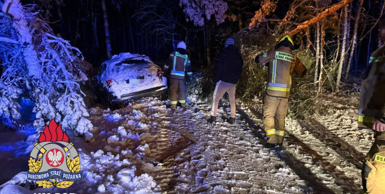 80 interwencji w Toruniu. Mokry śnieg siał spustoszenie