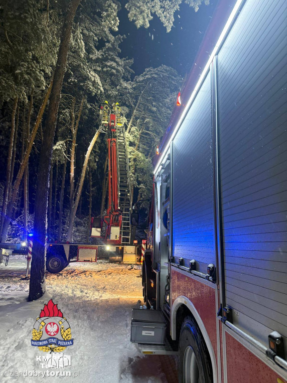 80 interwencji w Toruniu. Mokry śnieg siał spustoszenie