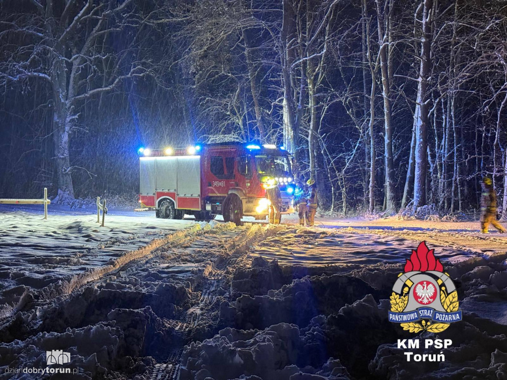80 interwencji w Toruniu. Mokry śnieg siał spustoszenie