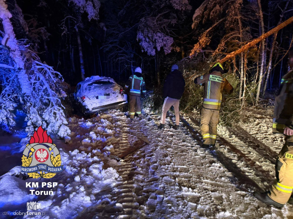 80 interwencji w Toruniu. Mokry śnieg siał spustoszenie