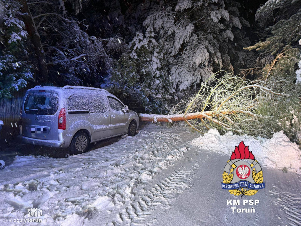 80 interwencji w Toruniu. Mokry śnieg siał spustoszenie