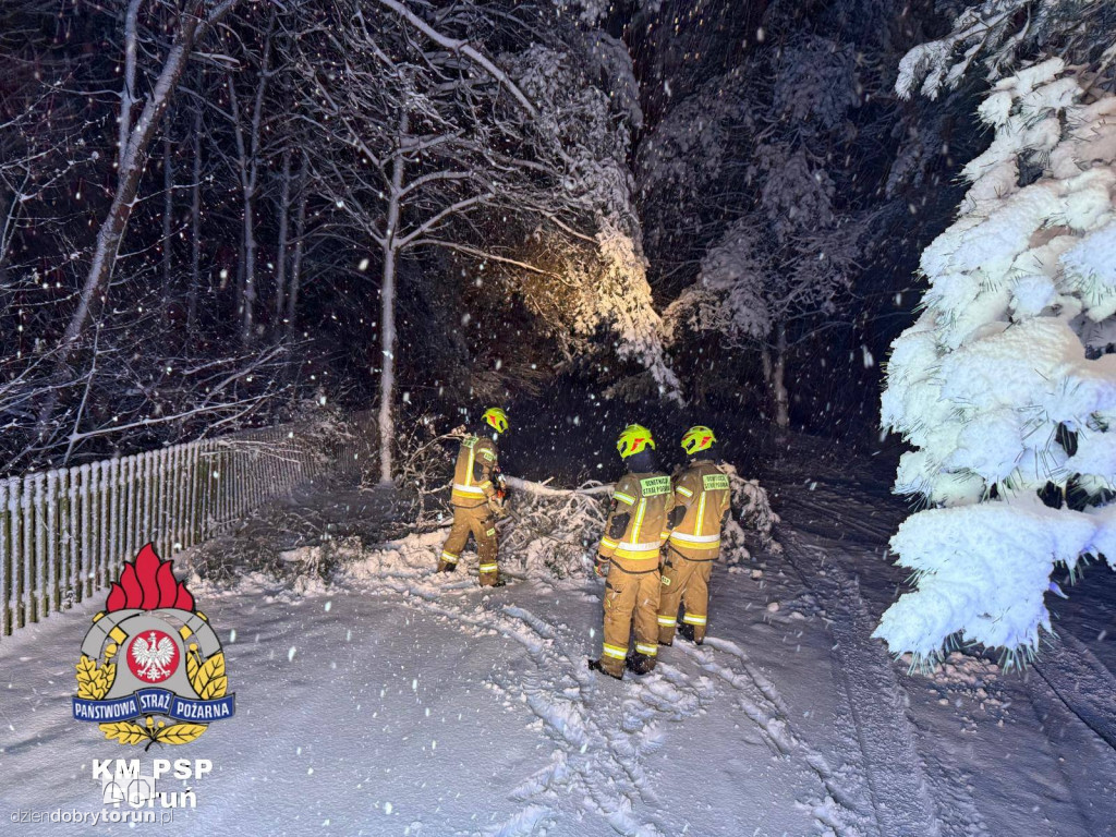 80 interwencji w Toruniu. Mokry śnieg siał spustoszenie