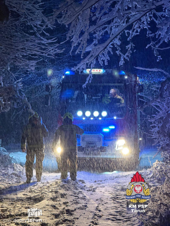 80 interwencji w Toruniu. Mokry śnieg siał spustoszenie