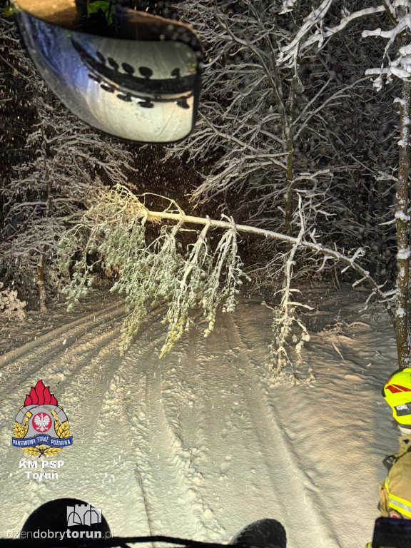 80 interwencji w Toruniu. Mokry śnieg siał spustoszenie