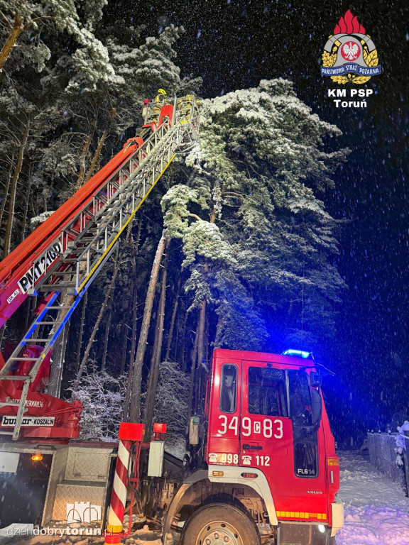 80 interwencji w Toruniu. Mokry śnieg siał spustoszenie