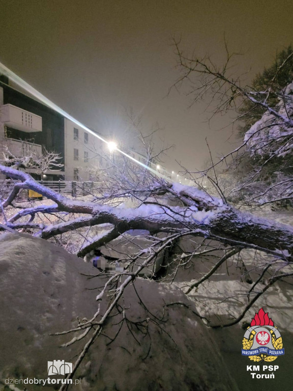 80 interwencji w Toruniu. Mokry śnieg siał spustoszenie