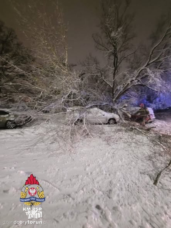 80 interwencji w Toruniu. Mokry śnieg siał spustoszenie