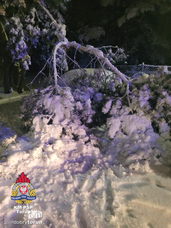 80 interwencji w Toruniu. Mokry śnieg siał spustoszenie