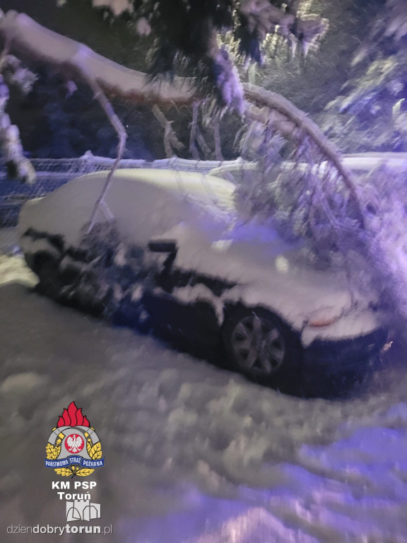 80 interwencji w Toruniu. Mokry śnieg siał spustoszenie