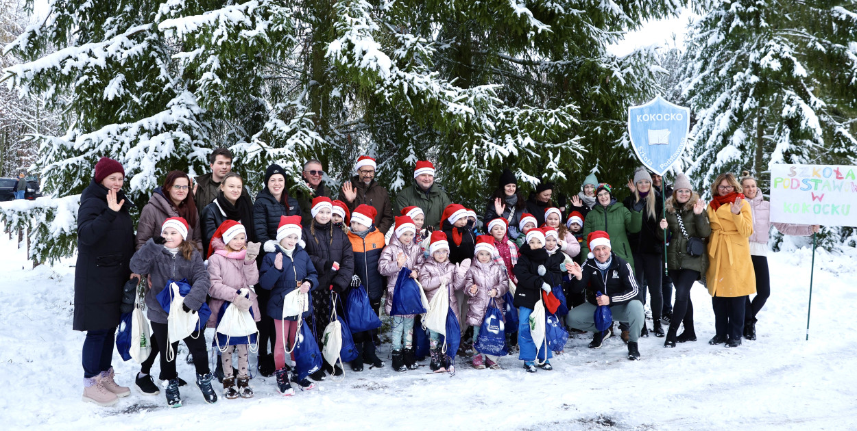 Taka choinka stanie przed urzędem marszałkowskim