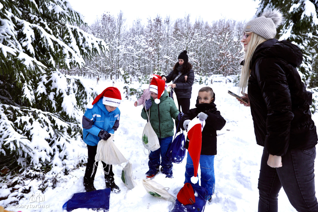 Taka choinka stanie przed urzędem marszałkowskim