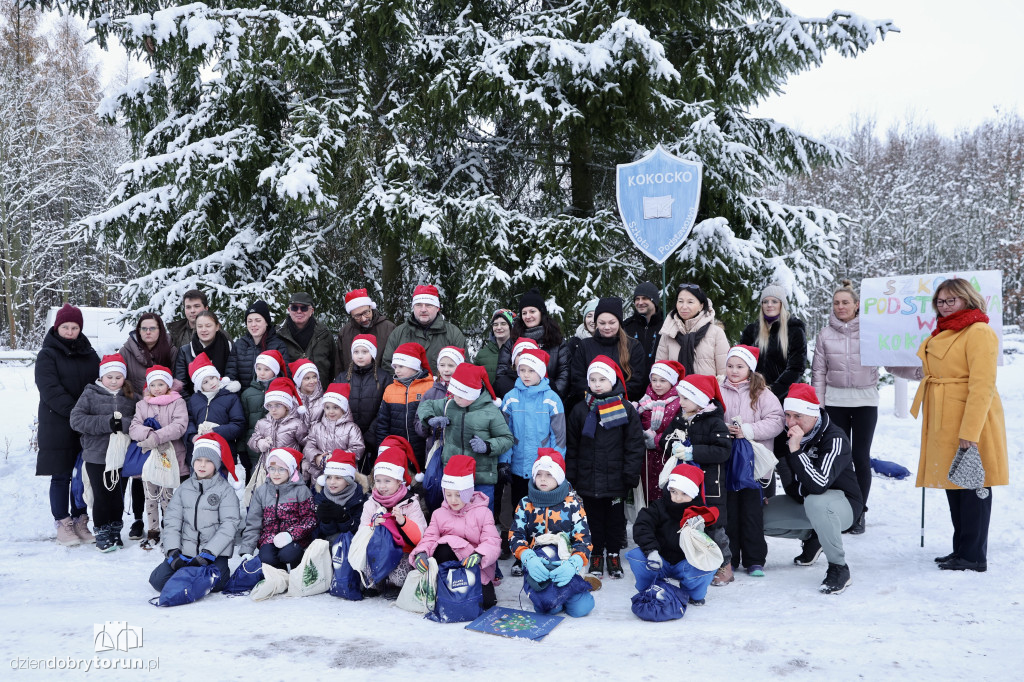 Taka choinka stanie przed urzędem marszałkowskim