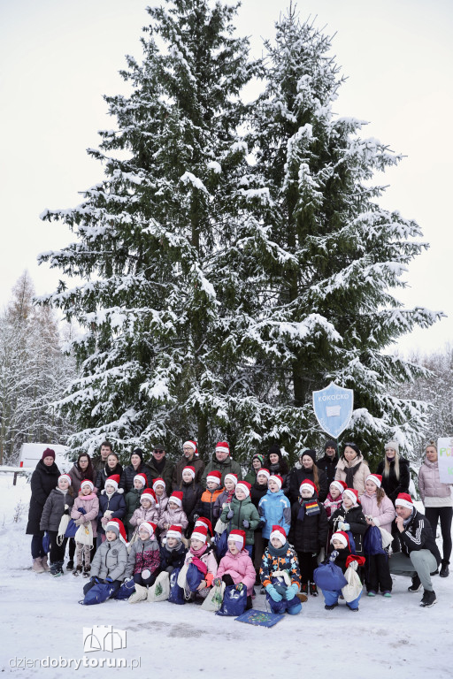 Taka choinka stanie przed urzędem marszałkowskim