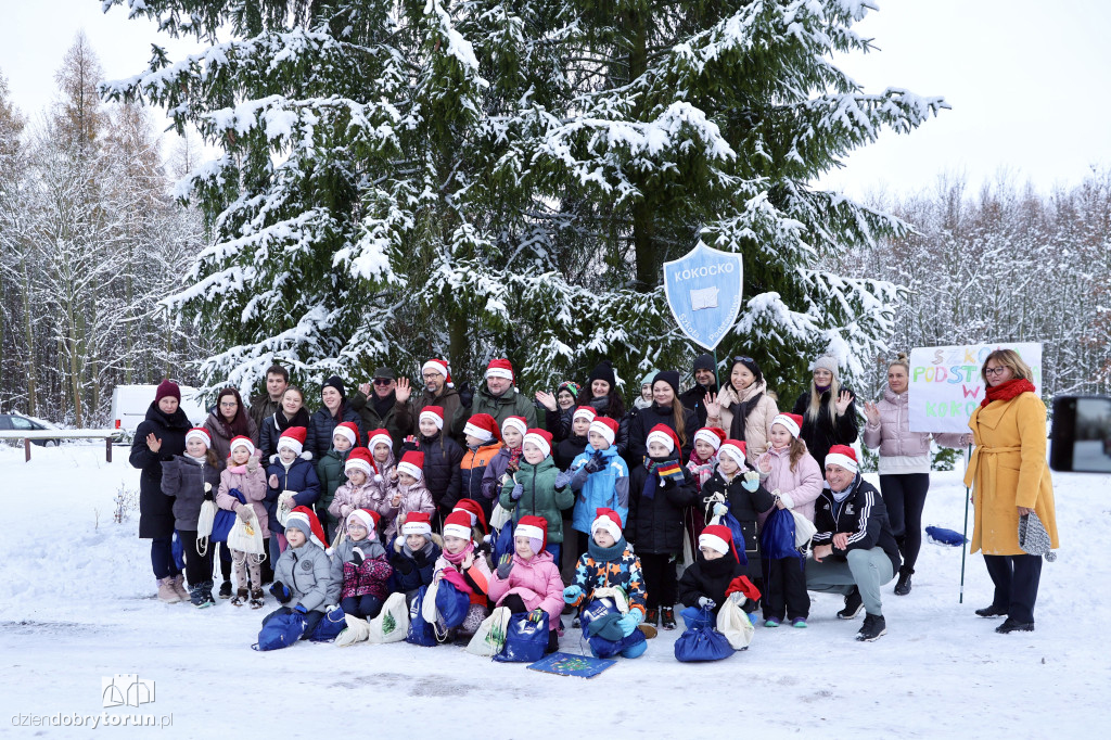 Taka choinka stanie przed urzędem marszałkowskim