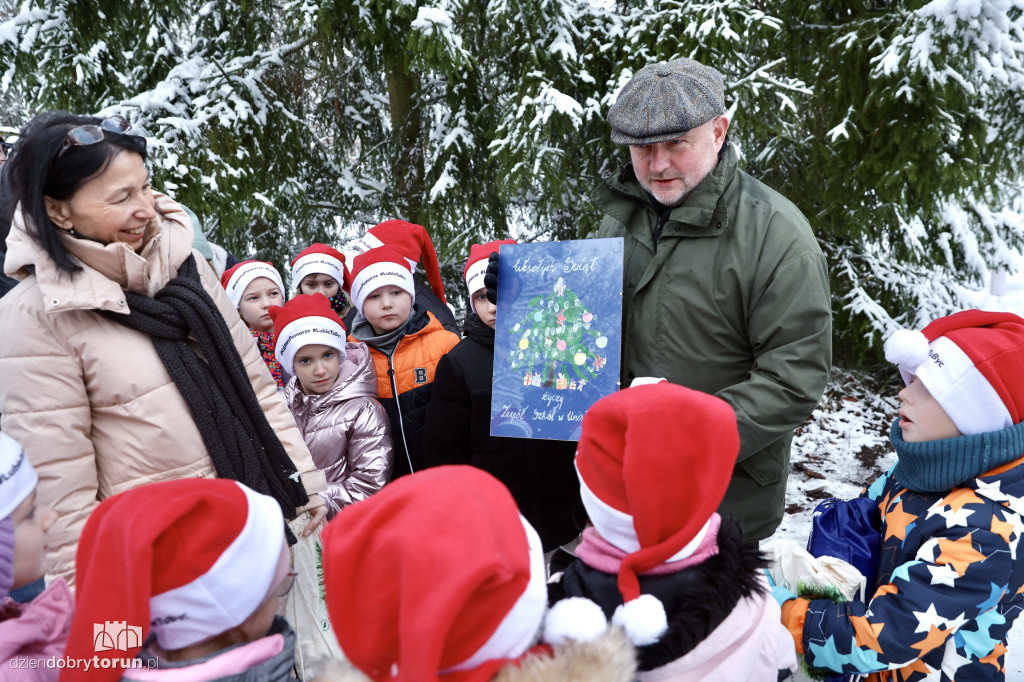 Taka choinka stanie przed urzędem marszałkowskim