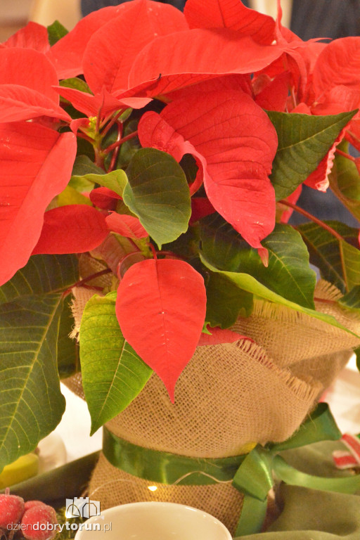 Otwarcie Dziennego Domu Pobytu na Rubinkowie