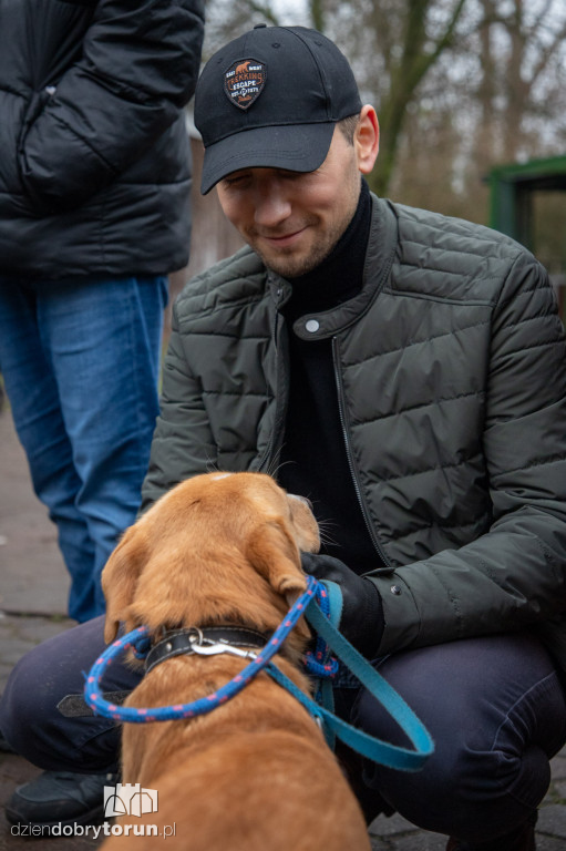 Wyprowadź psa ze schroniska