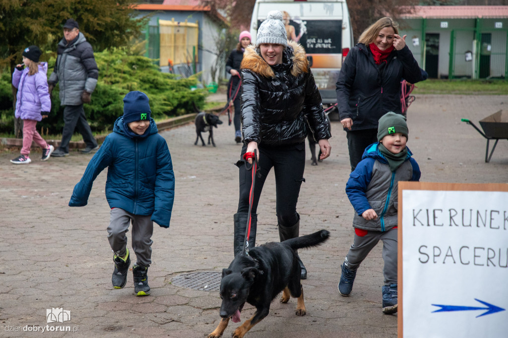 Wyprowadź psa ze schroniska