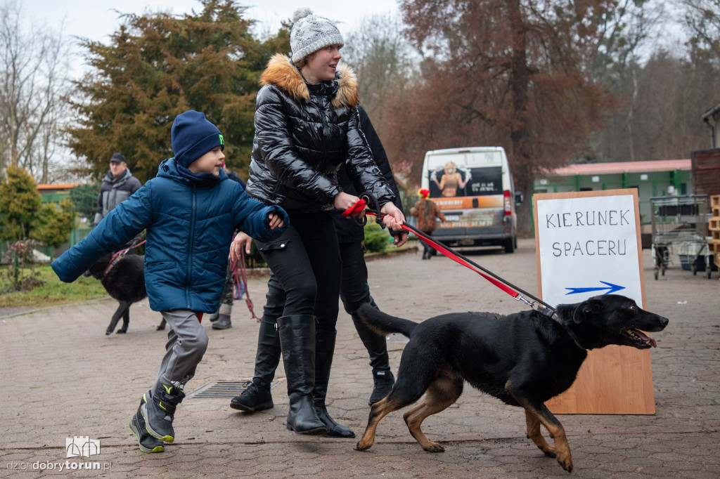 Wyprowadź psa ze schroniska